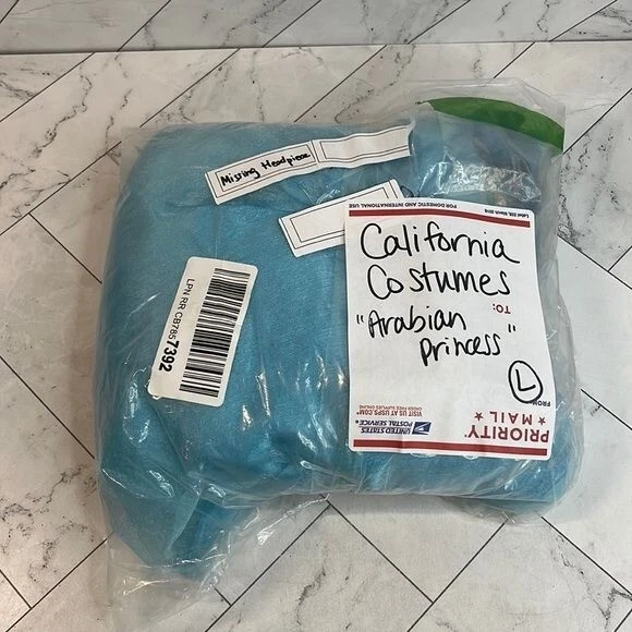 California Costumes Arabian Princess Adult Womens Costume Size Large - Image 2 of 4