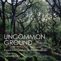 Dominick Tyler | Uncommon Ground | Taschenbuch | Englisch (2015)