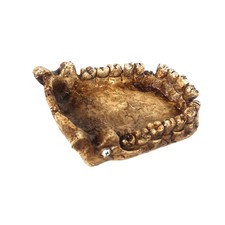 Accessoires d'habitat de l'alimentation du reptile pour les grenouilles