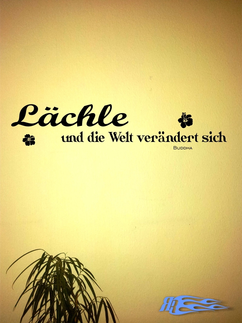 Wandtattoo LÄCHLE UND DIE WELT VERÄNDERT SICH Wandaufkleber Buddha Sprüche Matt