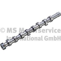 Kolbenschmidt 50007674 Nockenwelle FüR CitroËN DS Fiat Ford Mazda Stahl