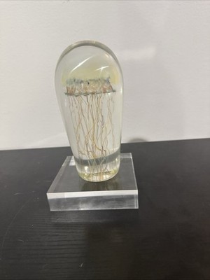 Signed Richard Satava Art Glass Moon Jellyfish Paperweight Sculpture
