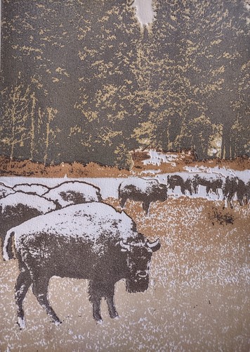 Vanishing Herd #2 S/N Radierung #1/100 Bison Buffalo von Ted Thomas geprägt - Bild 7 von 8