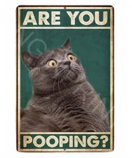 Are You Pooping Cat Metal Aluminum Sign 8"x12" Funny Bathroom Toilet