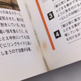 Soulcalibur Official Guide Book 2000 Sega Dreamcast DC Namco Soft Bank