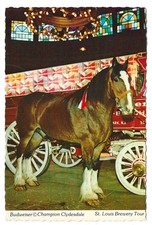  on The Hot Collector