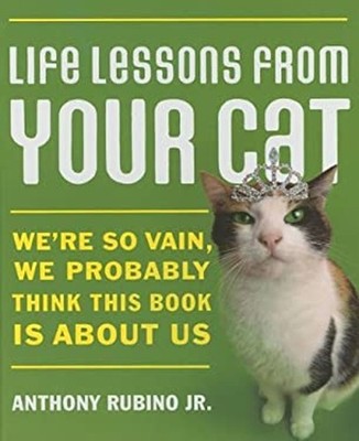 Life Lessons from Your Cat : We're So Vain, We Probably Think Thi