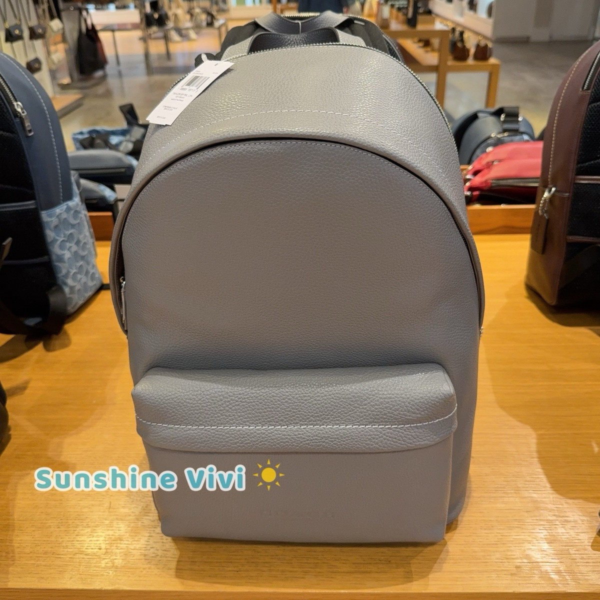 NWT Coach Taylor Backpack In refined Pebble Leather CDX93 Silver