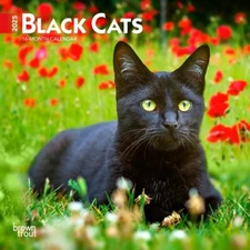 Black Cats | 2025 7 x 14 Inch Monthly Mini Wall Calendar