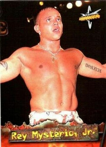 WCW GEPRÄGTE BASIS / BASISKARTEN 1 BIS 72 VON TOPPS 1999 WWE - Bild 39 von 90