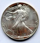 1992 Walking Liberty 1oz Silver Dollar