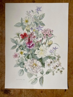 Blumenmalerei - Aquarell der zeitgenössischen Künstlerin Jane Wormell (geb. 1960)