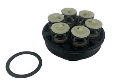 Dura Products Viton AG Cartridge Kit For 6000 Series Pump - DP-P6017A-V