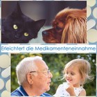 Bild 7 von 7