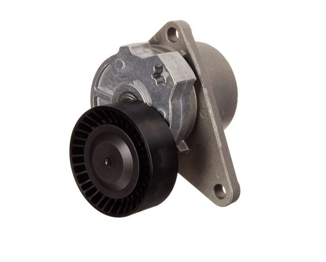 VOLVO Xc90 INA Accessory Drive Belt Tensioner 5340103100 31251250 for