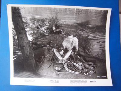 Spread Eagle Dennis O'Keefe, John Payne - 10 x 8 - (code 796)