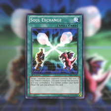 Yu-Gi-Oh Soul Exchange Starter Deck: Kaiba Reloaded YSKR-EN029