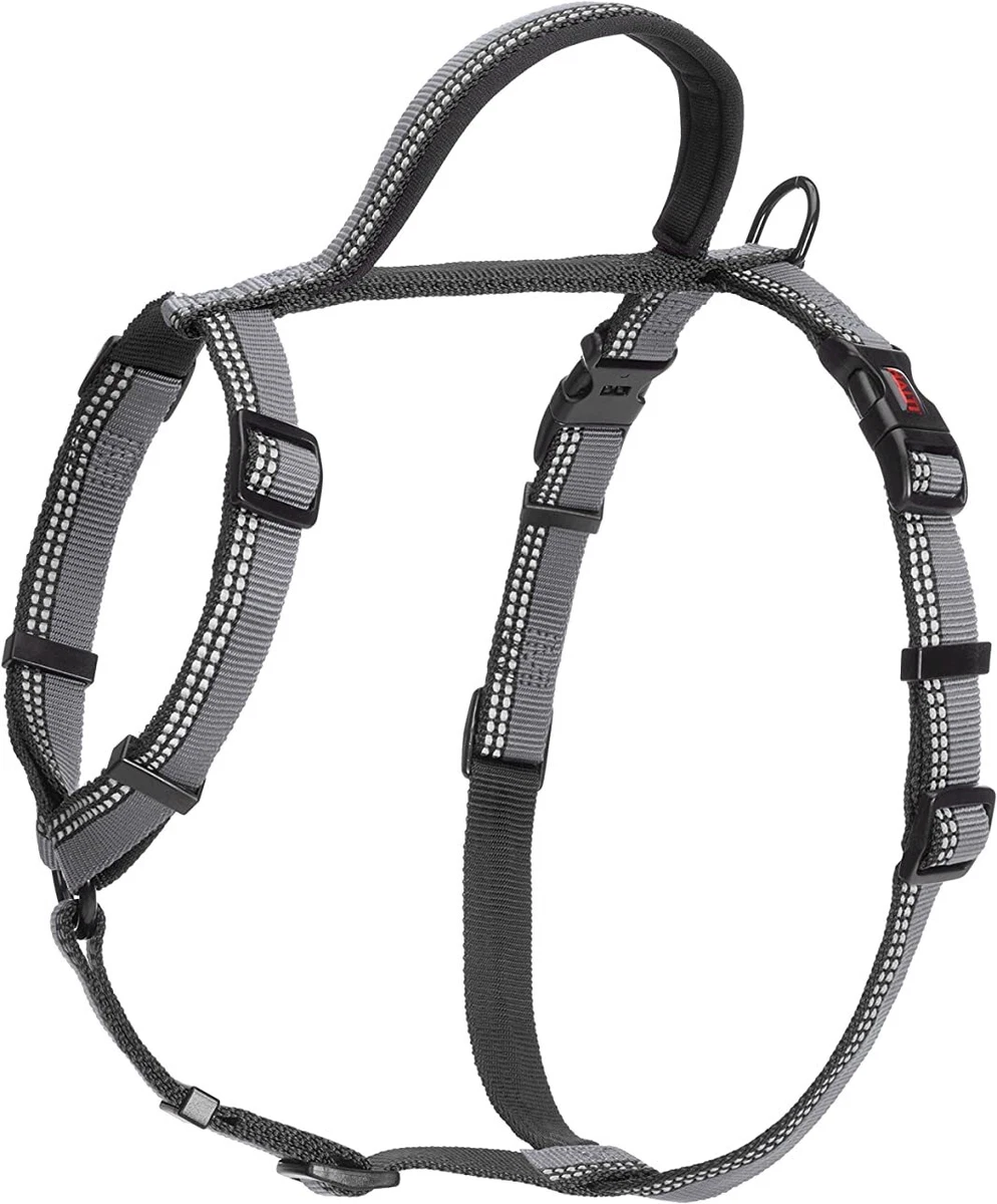 Best walking harness top