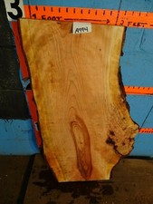 A994 2 3/16" THICK cherry burl live edge slab shelf table bench