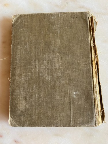 Antique The Alexandra Readers Second Book Reader - Macmillan Co. of Canada 1913 - Picture 6 of 6