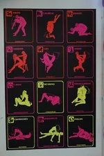 1971 UNIVERSAL POSTER CO. SERIGRAPH VINTAGE "SEX POSITION-KAMASUTRA" ZODIAC SIGN