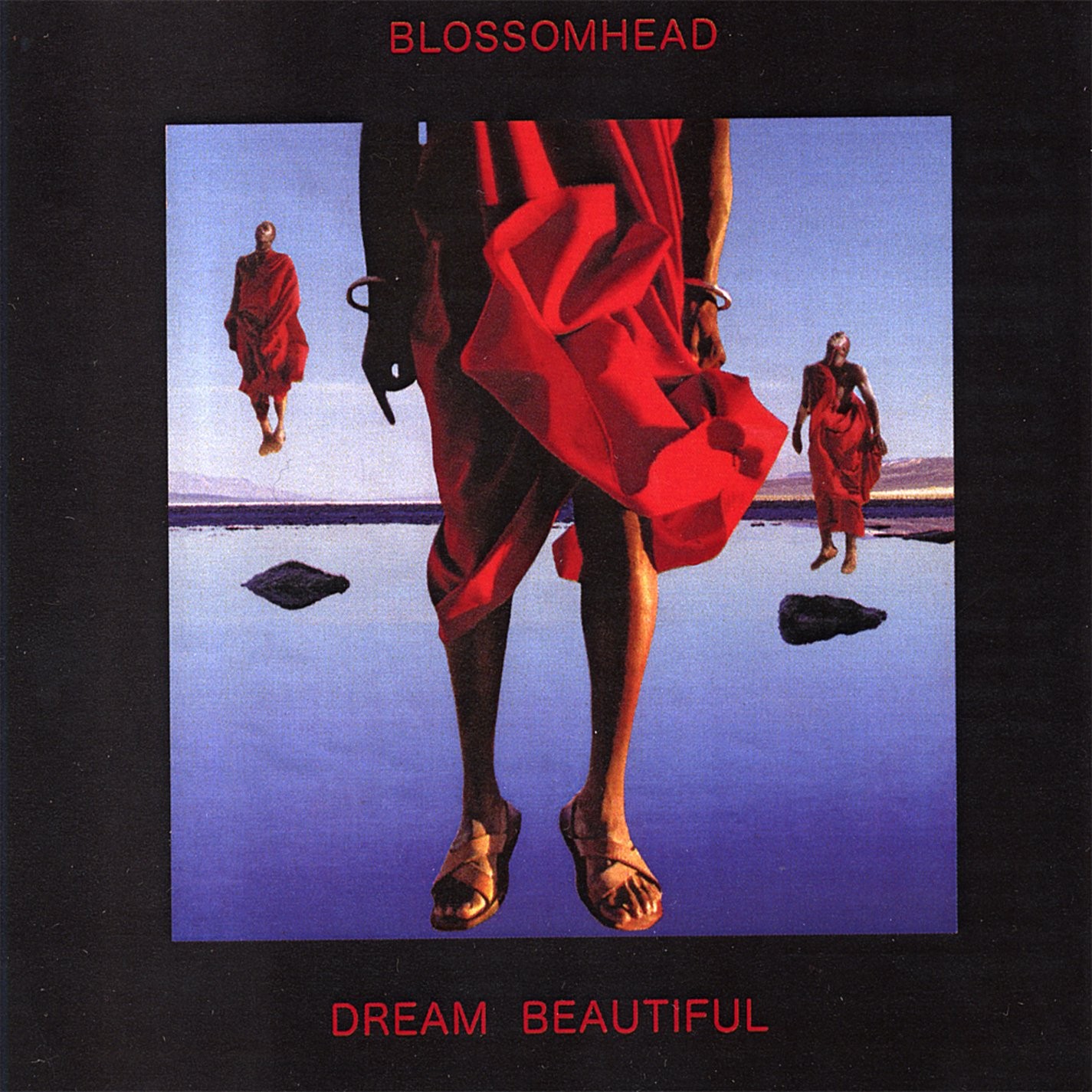 Прекрасная мечта цветущей головы (CD)