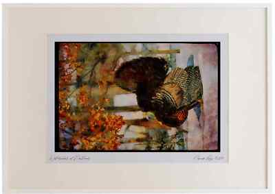 352013 Eastern Wild Turkey, Big Gobbler Strutting In Snowy Woods Aquarell Pi