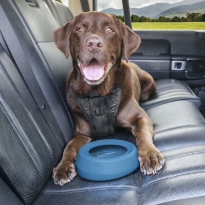 Splash Free Wander Water Bowl by Kurgo Blue