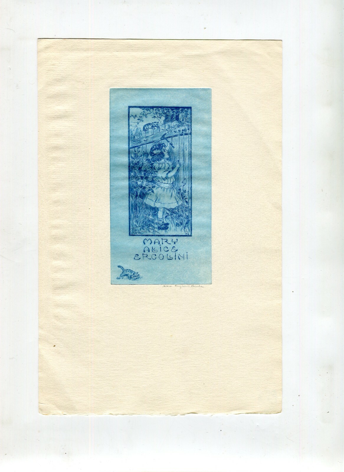 Foto 1 di 2
