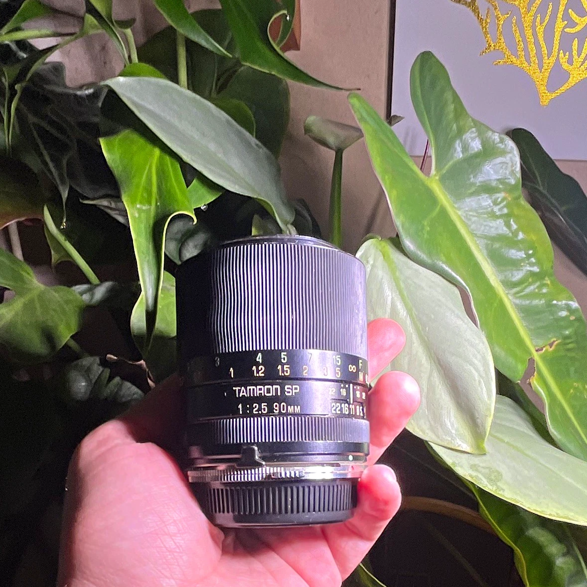 Tamron 90mm f/2.5 Camera Lenses for sale | eBay