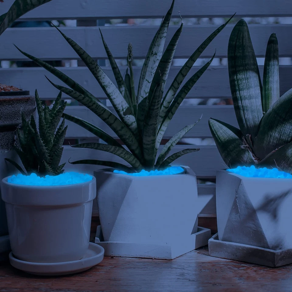 1000 piezas Piedras Brillantes Rocas Brillantes Guijarros Luminosos para Exterior Dec... Foto 3 de 4