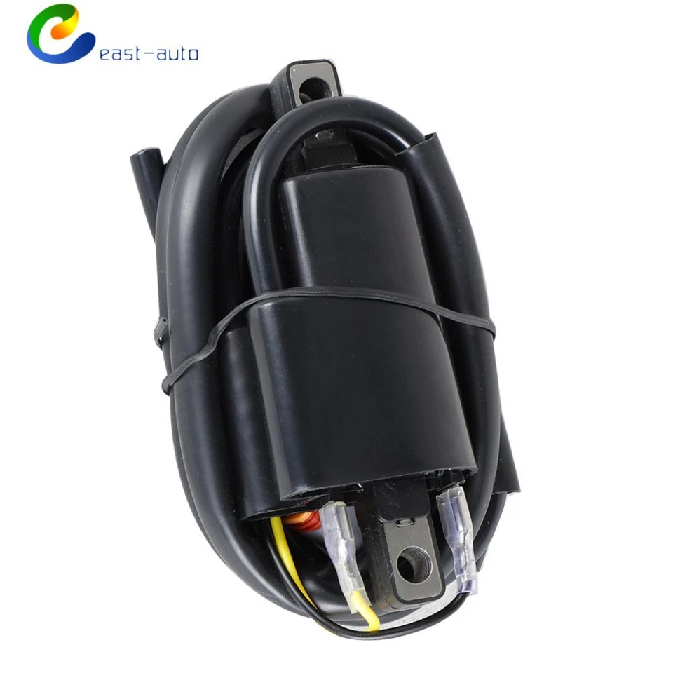 Bobina de encendido externa para Ski-Doo Grand Touring 500 600 700 Carb L/C 2001-2003 Foto 3 de 4