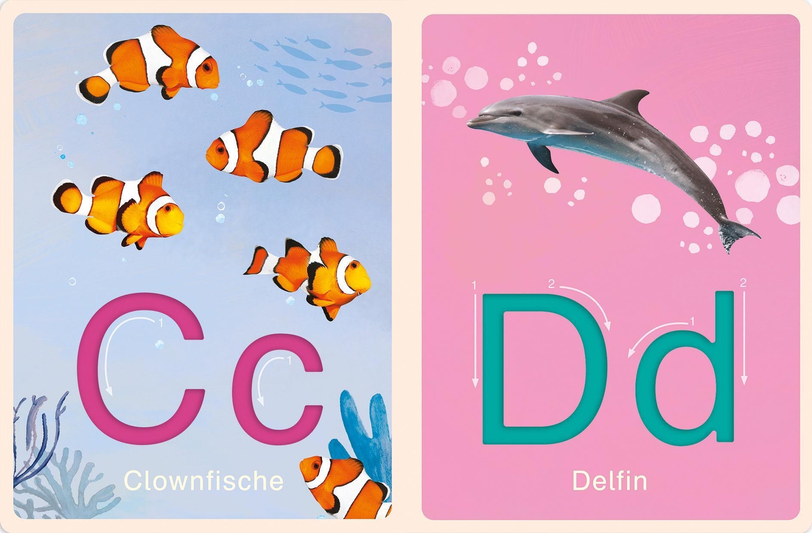 Thumbnail - Deine-meine-unsere Welt - Mein Abc Der Natur | Nicola Edwards | Buch |