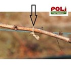Foto 3 di 4