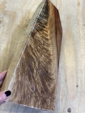 RARE BLONDE Claro walnut Rifle/ Shotgun blank