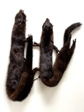 Nerz Schal Mantel/Fell/ Echtfell/ Stola/ Pelz/ Echtpelz