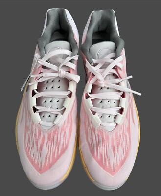Nike Air Zoom GT Cut 2 'Pink Pearl' Basketball Shoes DJ6015-602 Sz