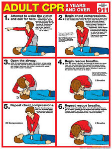 American Heart Association Cpr Chart