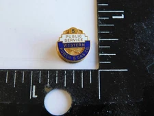 5 YEARS PUBLIC SERVICE WESTERN POWER & GAS CO. COMPANY 1/10 10K G.F. PIN