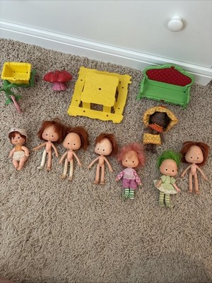 Large Strawberry Shortcake Lot- Raspberry Tart, Lime Chiffon, Orange, Furniture!