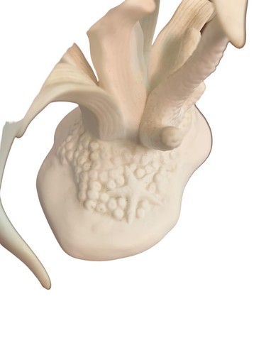 Lenox Bottlenose Dolphin Sea Life Sculpture 4.5" Figurine - Picture 14 of 20