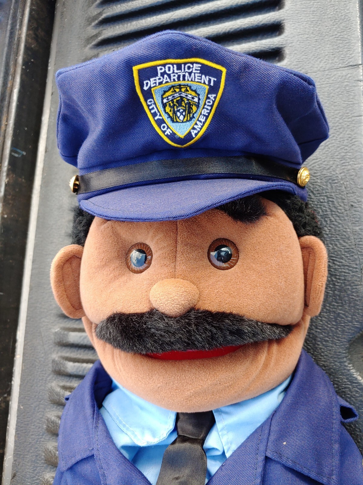 goodman sunny puppets