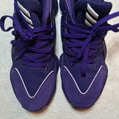 Size 10 - Adidas Harden Vol. 4 Purple for sale online | eBay