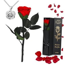 Preserved Real Rose Forever Flowers with Heart I Love You Red With Necklace