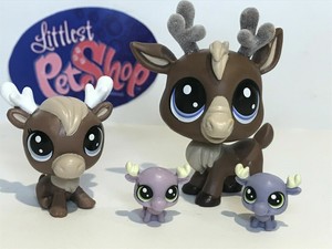 littlest pet shop moose