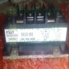 1PCS NEW EVL32-055 EVL32055   MODULE #E6