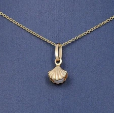 Solid 14k Yellow Gold Cockle Sea Shell Pendant with 14k Rolo/ Cable Chain