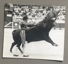 Antique PHOTO on cardboard 1958 Arenas BEZIERS Corrida Féria Bullfighting Bull