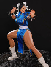 Lingyun Studio Kung Fu Li Fighter 1/3 Silica ...