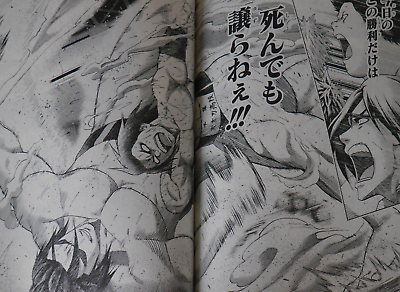 Hinomaru Sumo (Language:Japanese) Manga Comic From Japan